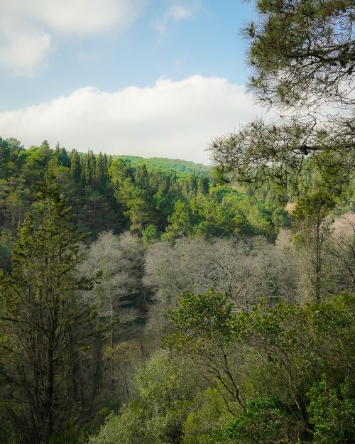 Sarıyer kareleri