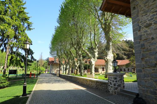 Sarıyer kareleri